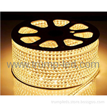 shenzhen factory offer high voltage led strip 3528